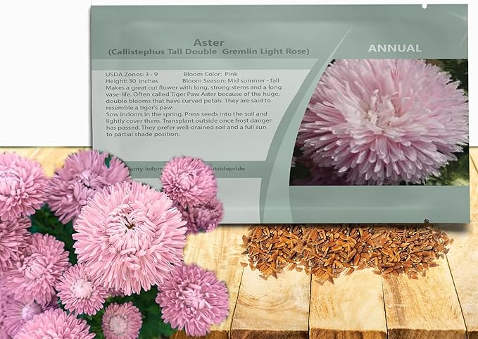Outsidepride Gremlin Aster Seeds - 2000 Pcs. Annual, Hardy & Pollinator Friendly Flower Seeds for Planting Vibrant Light Rose Blooms and Oval-Shaped Leaves, Great for Meadows & Aesthetic Gardens