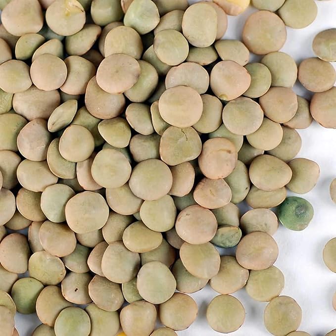 Organic Dried Green Lentil Sprouting Seed: 1 Lb - Dry Lentils for Planting Garden Seeds, Soup, Cooking or Sprout Salad, Sprouts