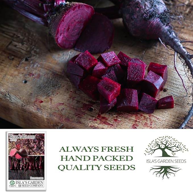 Bull’s Blood Beet Seeds (Beta vulgaris) – 100+ Heirloom Non-GMO Seeds by Isla’s Garden Seeds, Deep Red Roots & Burgundy Greens, Cool-Season Favorite, Dual-Purpose Variety, Great Home Garden Gift