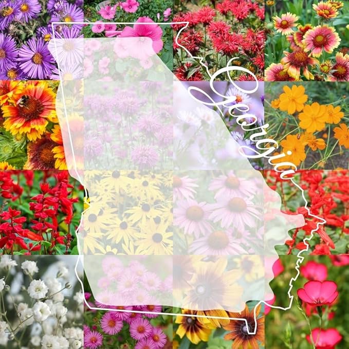 Georgia Bulk Perennial Wildflower Seed Mix 1lb Covers 2,000sq-ft - Attract Pollinators, Multi-Color Blooms - Southeast US Species Plant in Spring/Fall - Earth-Friendly Packaging (1/4 Pound)