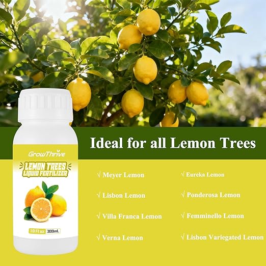 Lemon Tree Liquid Fertilizer - Microbial Organic Citrus Tree Fertilizer for Potted Trees & Indoor Plants, Meyer Lemon Tree Food, Concentrated Nutrient Solution