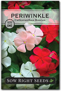 Sow Right Seeds - Periwinkle (Catharanthus roseus) Flower Seeds for Planting - Non-GMO Heirloom Packet with Instructions to Plant in Your Home Garden - Colorful Favorite - Attract Pollinators (1)