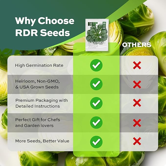 1000 Black Knight Tatsoi Mustard Seeds for Planting – Heirloom, Non-GMO, USA Grown Asian Greens with Premium Waterproof Packaging Brassica rapa subsp. narinosa by RDR Seeds