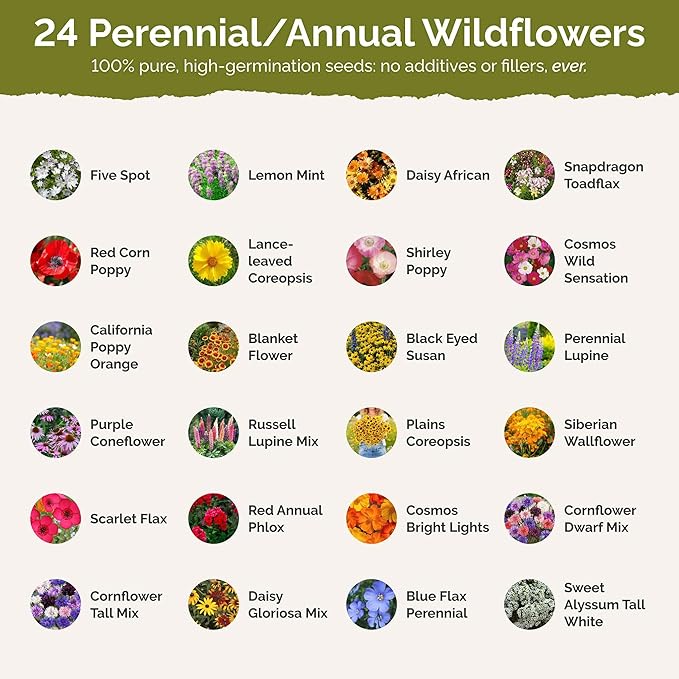 Eden Brothers Alabama Wildflower Mixed Seeds for Planting, 1 oz, 30,000+ Seeds with Cornflower, Cosmos, Blanket Flower | Attracts Pollinators, Plant in Spring or Fall, Zones