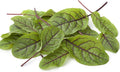 Red Veined Sorrel Seeds - 1 g Packet ~500 Seeds - Non-GMO, Heirloom - Colorful Culinary Herb Gardening & Microgreens Seeds