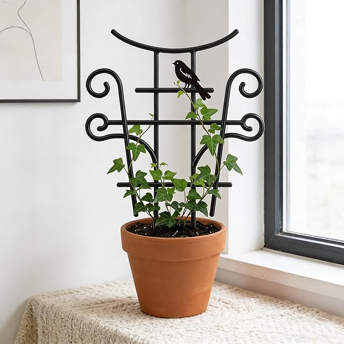 Small Trellis for Potted Plants, 2 Pack Metal Plant Trellis Indoor, 13.5 Inch Black Powder Coated Plant Support for Pothos, Monstera, Vine Ivy Flower, Decorative Indoor Plant Trellis for Potted Plants