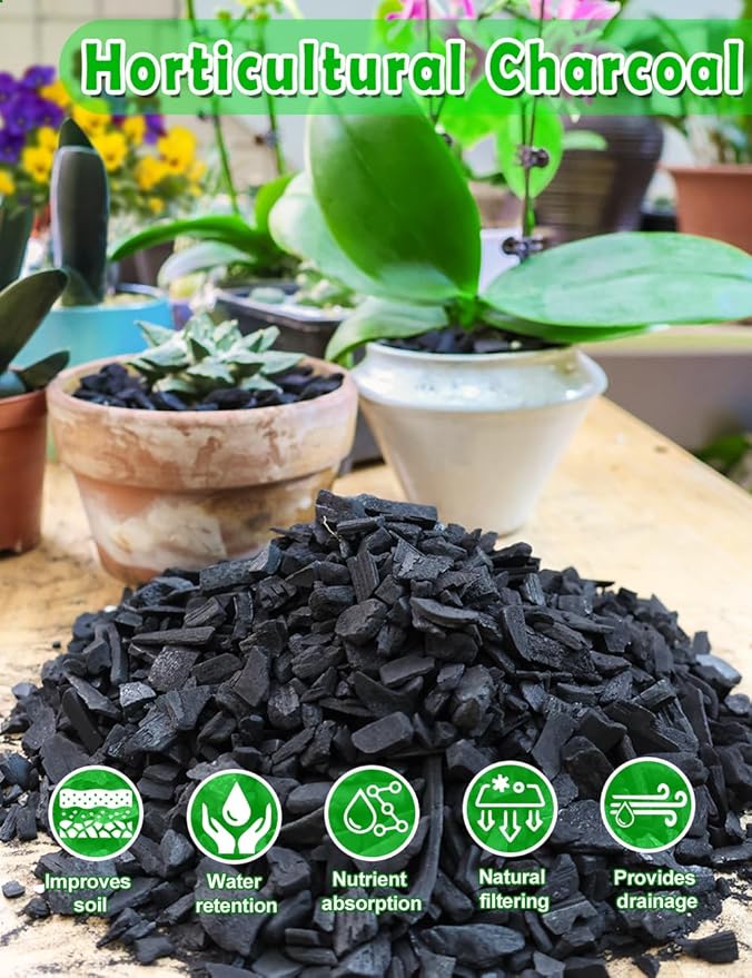 TOYPOPOR Horticultural Charcoal for Indoor Plants (3 Quarts) Hardwood Potting Soil Amendment Helps Improve Drainage for Orchids, Succulent, Cactus, Terrariums, and Gardening