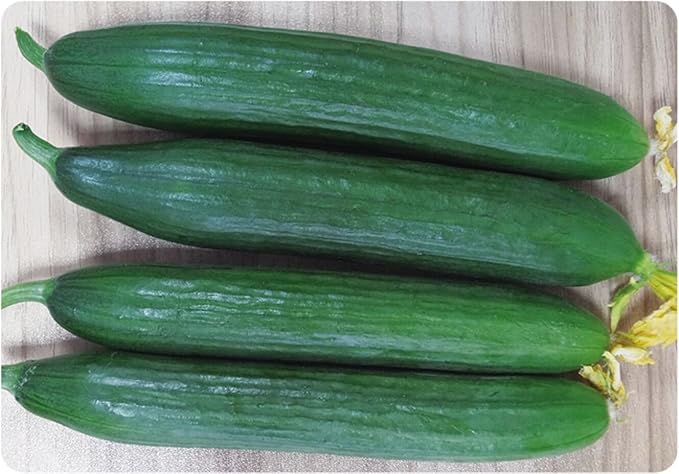 10+ Seeds Cucumber Chinese Miracle - Vegetable Open-Pollinated