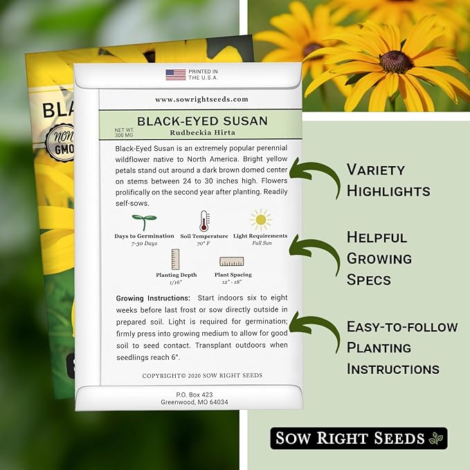 Sow Right Seeds - Black Eyed Susan Flower Seeds for Planting - Non-GMO Heirloom Seeds Packet to Plant a Home Garden - Perennial Wildflowers Attract Pollinators to Yard - Yellow with White Centers (4)