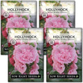 Sow Right Seeds - Double Flower Mixed Hollyhock Seeds for Planting - Non-GMO Heirloom Packet with Instructions to Plant an Outdoor Cottage Garden - Tall Ruffled Mix of Pink, Yellow, Red & White (4)