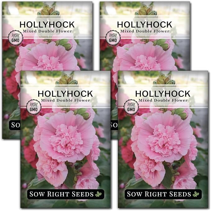 Sow Right Seeds - Double Flower Mixed Hollyhock Seeds for Planting - Non-GMO Heirloom Packet with Instructions to Plant an Outdoor Cottage Garden - Tall Ruffled Mix of Pink, Yellow, Red & White (4)