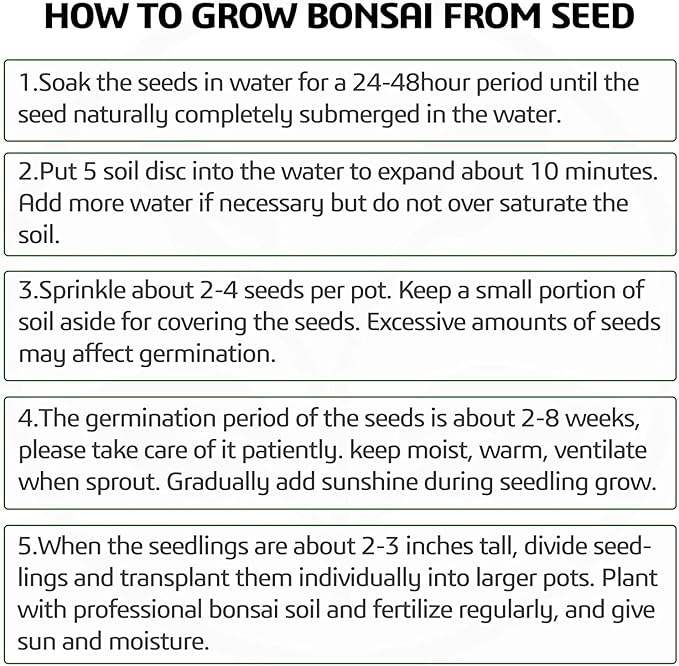 4 Bonsai Tree Seeds with Complete Growing Kit & Wooden Planter Box, Indoor Bonsai Tree Starter Kit, Great Potted Plants DIY Gift for Adults