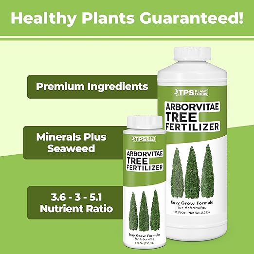 Arborvitae Tree Fertilizer – Liquid Plant Food for Fuller Green Foliage, Faster Growth & Stronger Root Development, 32 oz