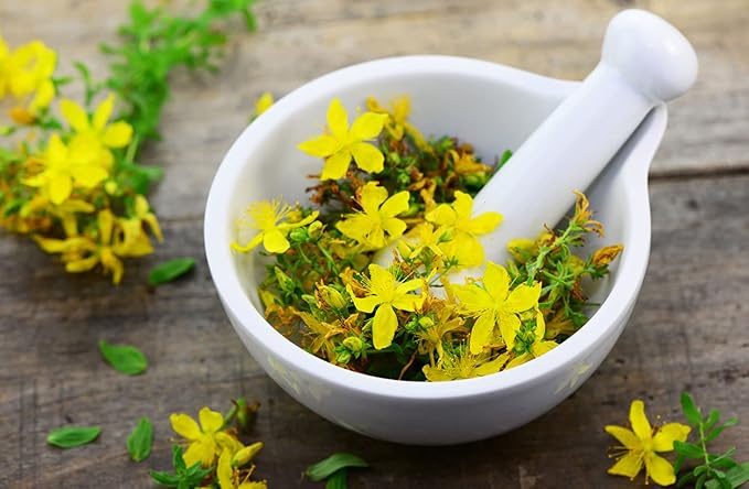 CEMEHA SEEDS - Seeds St. John's Wort Perennial Non GMO Herbs for Planting