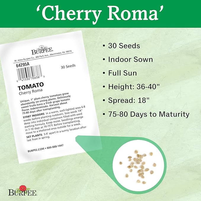 Burpee 'Cherry Roma' | Red Paste Tomato | Sweet Flavor | 30 Seeds