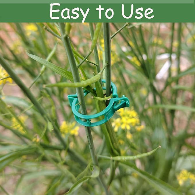250PK Plant Support Clips - Tomato Clips for String Trellis, Grape Vine Clips for Garden Netting Climbing Plants, Secured Plastic Plant Clip for Fixing Stem and Vine