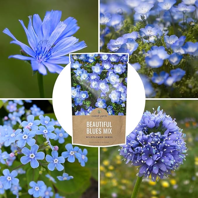 All Blues Wildflower Seeds - Bulk 1/4 Pound Bag - Over 30,000 PureAnnual and Perennial Flower Seeds