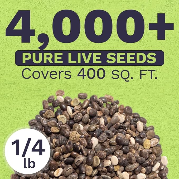 Bulk Lupine Mix Wildflower Seeds 1/4 Pound Bag - Over 4,500 Untreated Annual and Perennial Mixed Lupine Flower Seeds