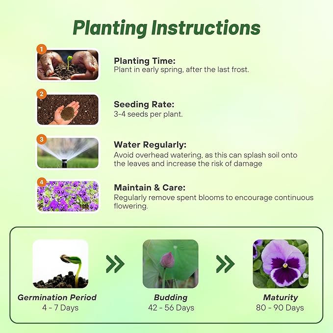 Outsidepride Ocean Pansy Seeds for Planting - 100 Pcs. Biennal, Cold-Hardy & Pollinator Friendly Flowers with Fragrant Blooms for Garden Beds, Borders & Container Displays