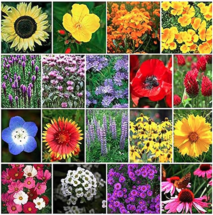 13,000 Pollinator Attracting Wildflower Seeds - 1 Ounce - Attracts Bees, Butterflies, and Other Beneficial Insects, Bees Knees Mix