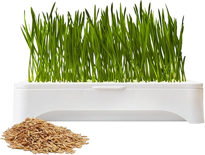 The Environet Cat Grass for Indoor Cats, Cat Grass Kit with Organic Seeds Mix and Hydroponic Sprout Tray, 100% Non-GMO, Hairball Control, Digestion Support, Ideal Gift for Cat Lovers