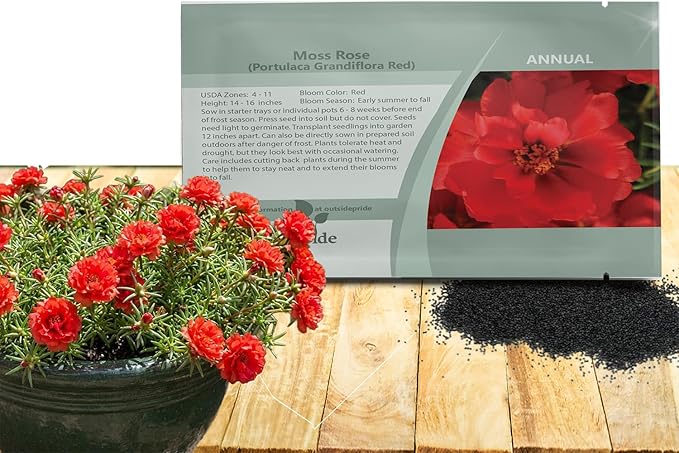 Outsidepride Red Moss Rose Seeds - 10000 Pcs Annual, Drought & Heat Tolerant, Pollinator Friendly Ground Cover Seeds for Planting w/Vibrant Blooms & Succulent Foliage, Ideal for Xeriscaping