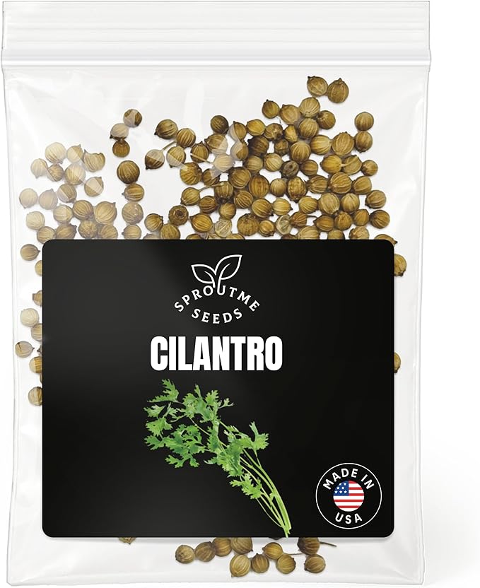 Fall & Winter Cilantro Seeds (Coriander) for Indoor & Outdoor Planting – 200 Non-GMO Heirloom USA-Grown Culinary Herb with Fresh Flavor & High Germination (Coriandrum sativum)