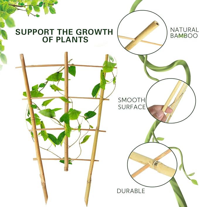 Bamboo Trellis 10 Pack, 36 Inches/3FT S3 Natural Bamboo Plant Fan Stakes, Fan-Shaped Plant Support Stand for Orchid Vines, Monarchs, Ivy and Other Plants Climbing, Help Plant Growth