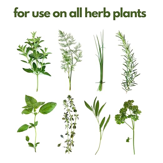 Fertilizer for Herbs Happy Herb Organic Fertilizer by Happy Nutrients – Plant Food for Basil, Mint, Cilantro, Rosemary, Thyme & More – Macro & Micro Nutrients for Home Gardens – 12 oz (0.34 kg)