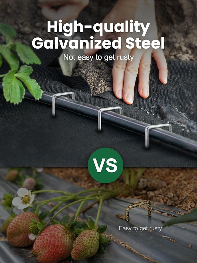 GROWNEER 50 Packs 12 Inches Landscape Staples Heavy Duty 11 Gauge Galvanized Steel Garden Stakes Securing Pegs for Securing Weed Fabric Landscape Fabric Netting Ground Sheets and Fleece
