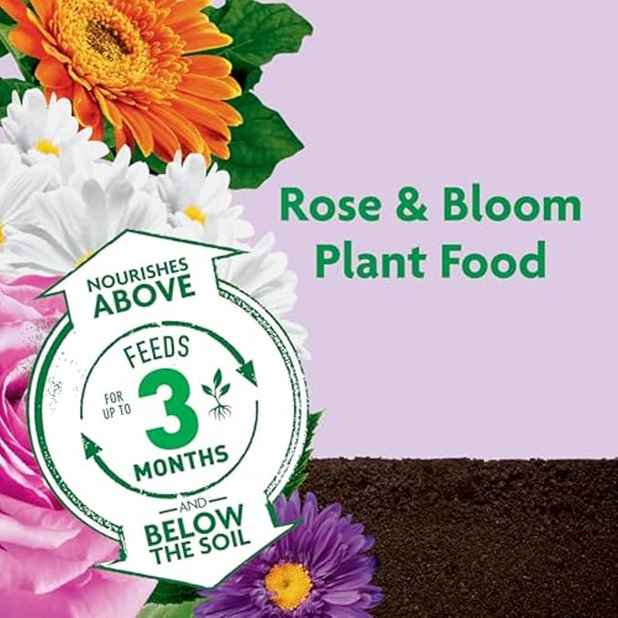 Miracle-Gro Shake 'n Feed Rose & Bloom Plant Food - Long-Lasting Granular Fertilizer for Flowering Plants, Feeds Up to 3 Months - 4.5 lbs.