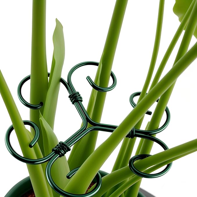 2Pack Green Iron Monstera Support,4.1 * 4.1IN Plant Support Stakes for Indoor Plants,Durable Green Metal Plant Stem Supports-Easy Installation.