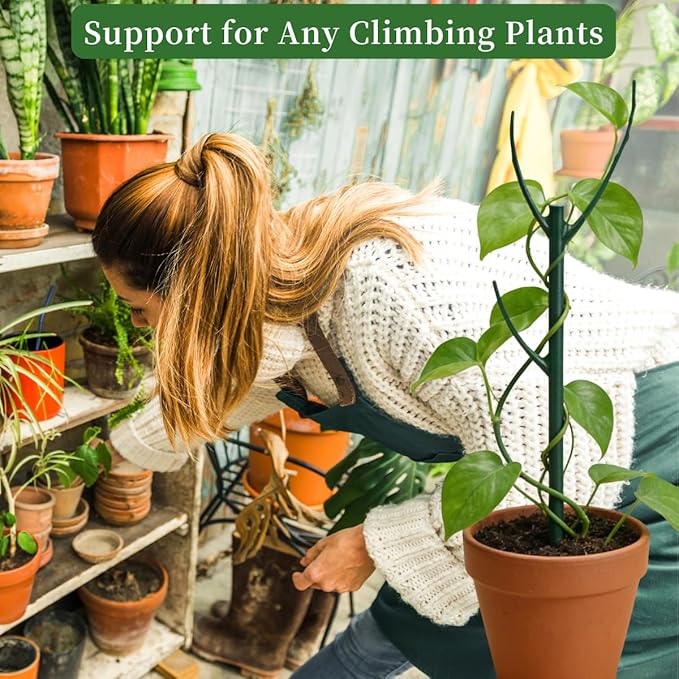 5 Pack Monstera Plant Support, 38inch Stackable Plant Stakes with 20Pcs Clips & 1Pcs Ties, Alternative to Moss Pole Plants Sticks Structures for Climbing Indoor Outdoor Potted Plants