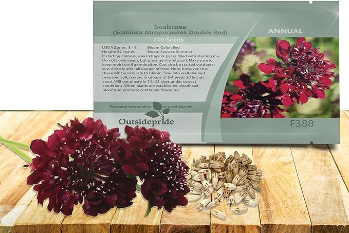 Outsidepride Double Red Scabiosa Seeds - 200 Pcs Perennial Pincushion Flower Seeds That Attract Pollinators, Upright & Neat Growth Habit for Small Gardens, Borders, Containers, & Xeriscaping