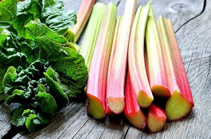 Rhubarb Seeds 50+ Seeds Garden Rhubarb Rheum Rhabarbarum Garden Vegetables Seeds