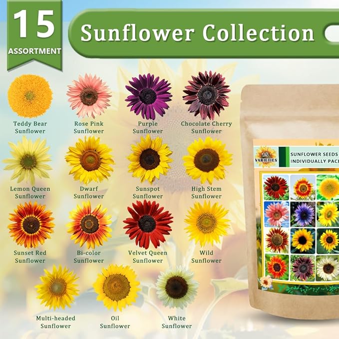 1000+ Sunflower Seeds for Planting Heirloom Non-GMO, Bulk Package of 15 Varieties Mix Seeds, Individually Packaged, Attracts Pollinators (Helianthus annuus)