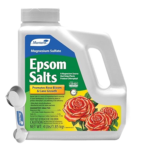 Monterey Epsom Salts Magnesium Sulfate Bundled with Measuring Spoon – 4lbs – Promotes Rose Bloom & Cane Growth, Enhances Chlorophyll Production, Boosts Phosphorus Absorption