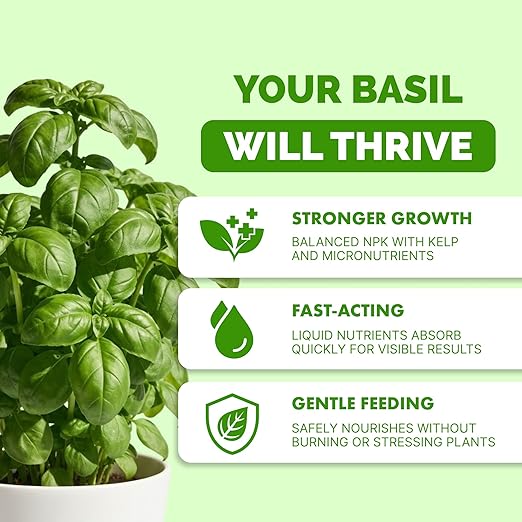 Basil Fertilizer – Liquid Plant Food for More Leaves, Fuller Plants & Fast Regrowth, 8 oz