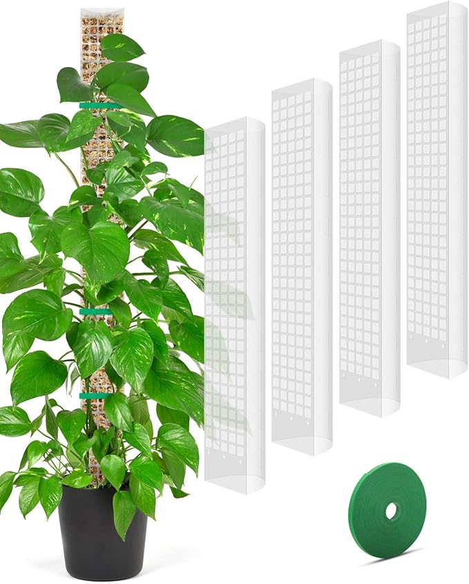 4 Pcs Large D Shaped Poles for Monstera, 24 Inch Plastic Moss Pole for Indoor Climbing Plants, Stackable Plant Support Kit Work with Sphagnum Moss