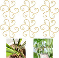 6pcs Plant Stem Support, Iron Monstera Plants Support, Plant Stem Holder Support Unique Design Bamboo Clamp Set for Outdoor & Indoor Growing Climbing Plants Stabilization and Supports