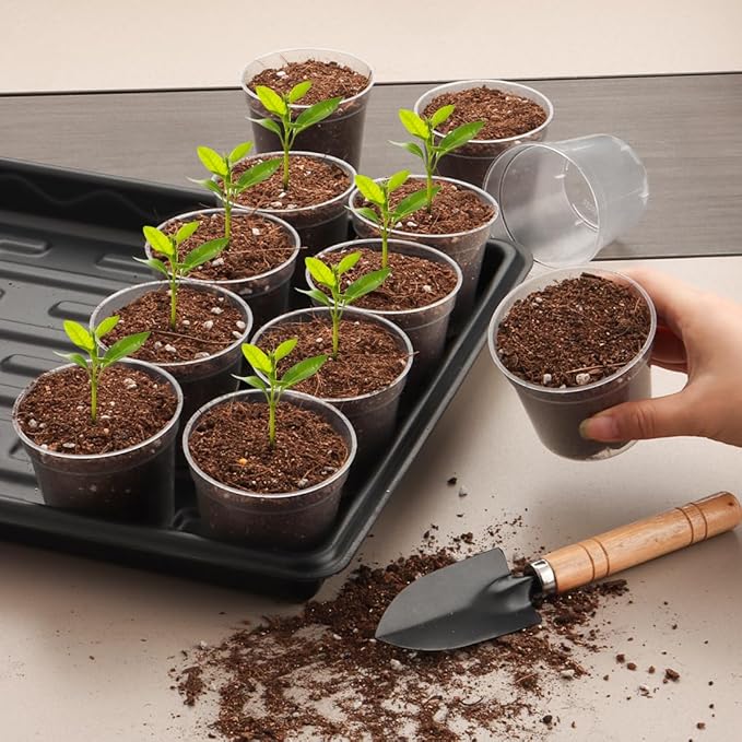 RooTrimmer 2.5" Clear Seeding Pots 100-Pack Round for Seeds Starter Pots, Seeds Germination Transparent Nursery Pot with Drainage Holes (2.5Inch,100Pcs,Clear)