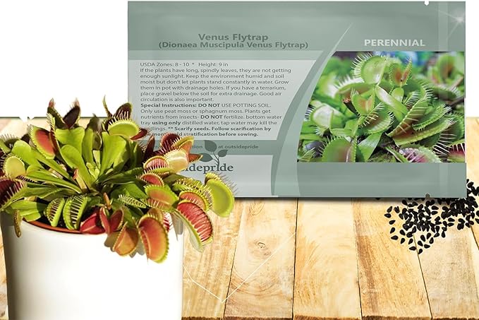 Outsidepride Venus Flytrap Seeds - 10 Pcs Perennial, Unique & Carnivorous, Indoor Plant Seeds for House Plants, Easy to Grow & Low Maintenance, Ideal for Terrariums, Pots, & Non-Winter Hardy Zones