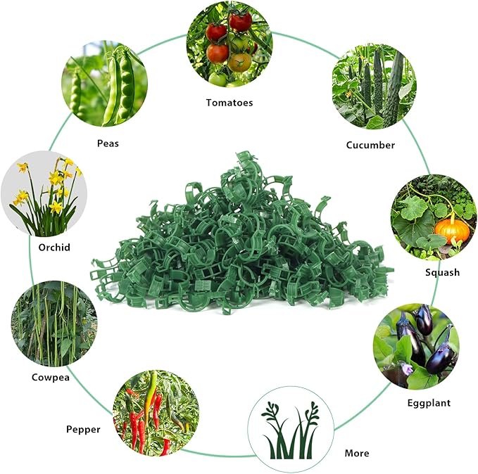 Tomato Clips, 200Pcs Plant Support Clips Garden Clips for Climbing Plants, Tomato Clips for String Trellis, Trellis Clips for Plants Support- Green