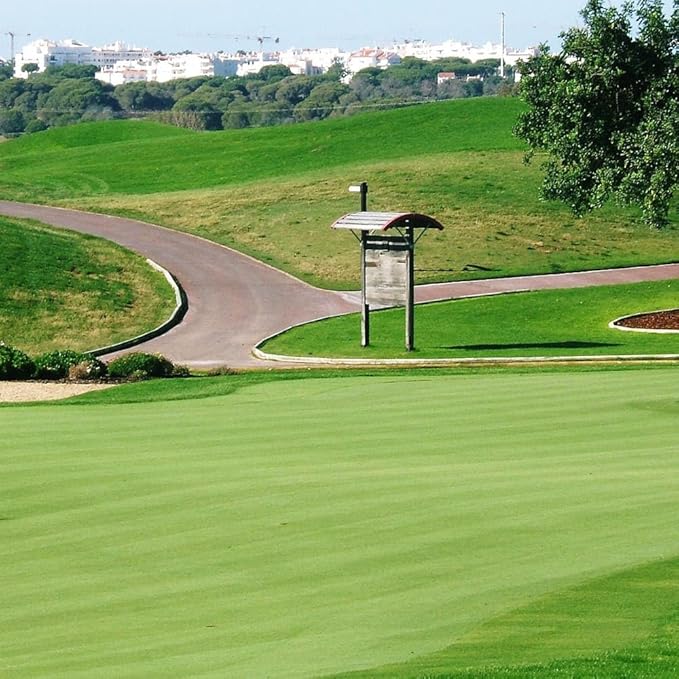 Outsidepride T-1 Creeping Bentgrass Seed - 1 lbs Fine-Bladed, Premium Quality Turf, Grass Seed for Smooth Surface, & High-Traffic Areas, Ideal Grass for Golf Courses Putting Greens, & Fairways
