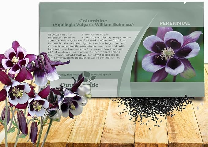 Outsidepride William Guinness Columbine Seeds - 2000 Pcs Perennial, Easy to Grow Flower Seeds for Planting, Suitable for Pollinator-Friendly Garden, Cut Floral Arrangements, Ground Covers, or Borders