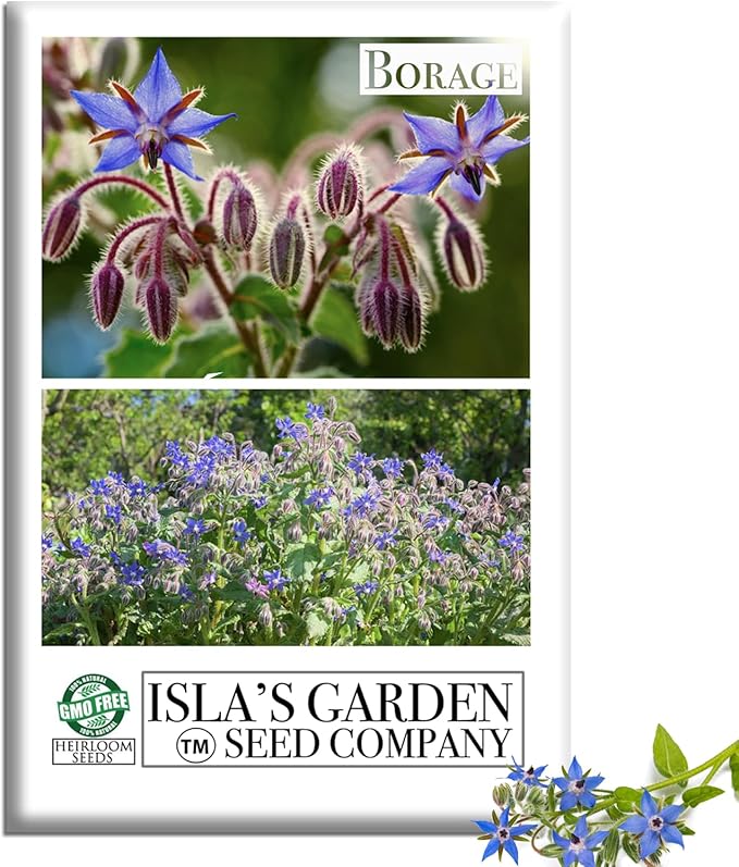 Borage Flower & Herb Seeds (Borago officinalis) – 125+ Non-GMO Heirloom Seeds by Isla’s Garden Seeds, Edible Blue Blossoms for Garnish & Herbal Tea, Pollinator-Friendly Annual, Easy to Grow, Gift Idea