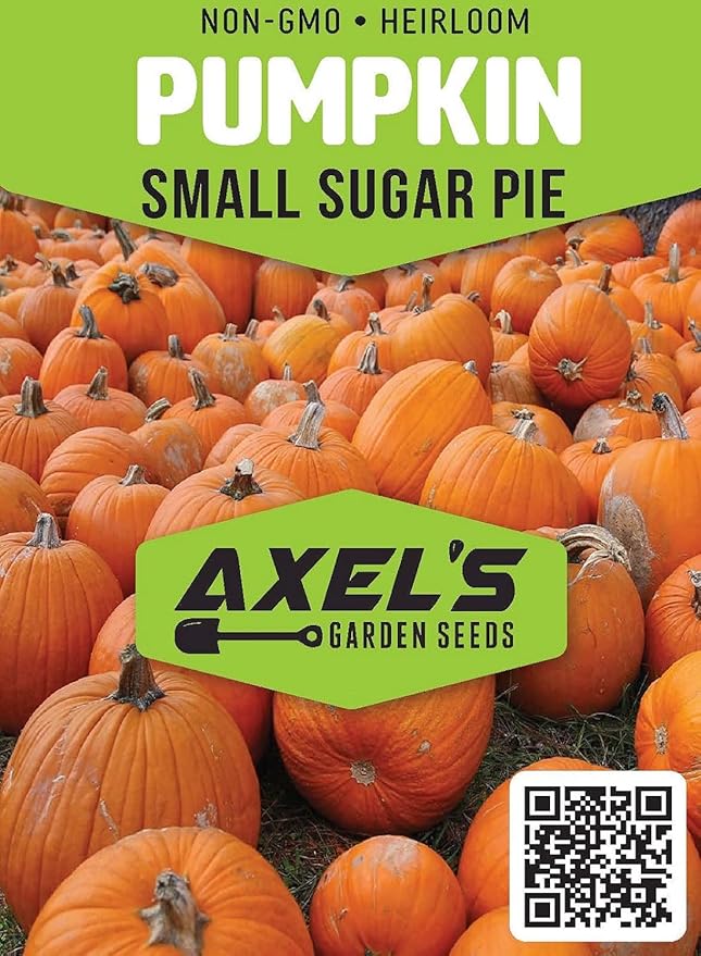 Small Sugar Pumpkin Seeds for Planting - Non-GMO Heirloom Packet with Instructions to Plant a Home Vegetable Garden - Great Gardening Gift - 25 Seeds Per Pack (5 Packets)