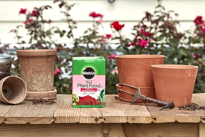 Miracle-Gro Rose Plant Food Rose Fertilizer (6 Pack), 1.5 lb