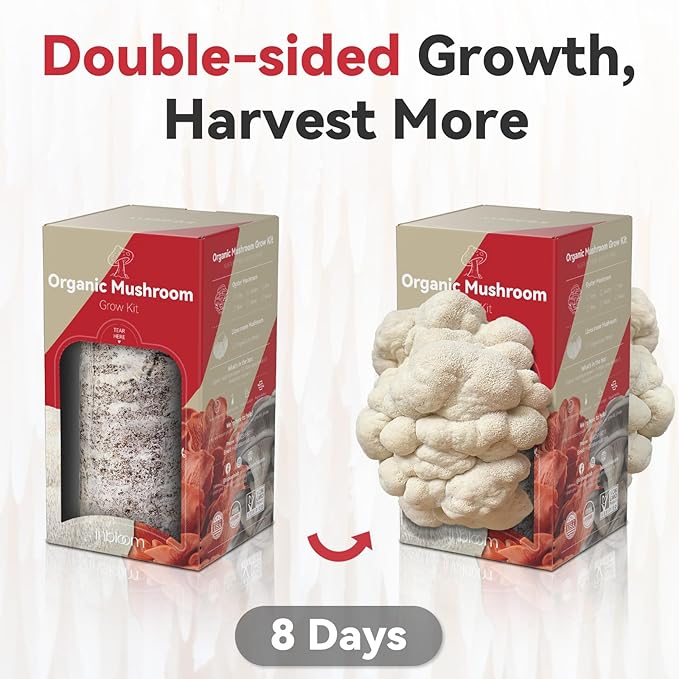 inbloom Organic Lion's Mane Mushroom Growing Kit with Spray, Harvest Fresh Mushrooms at Home, Beginner Friendly & Easy to Use, Unique Gardening Gift for Holiday, Handmade in New Jersey, USA