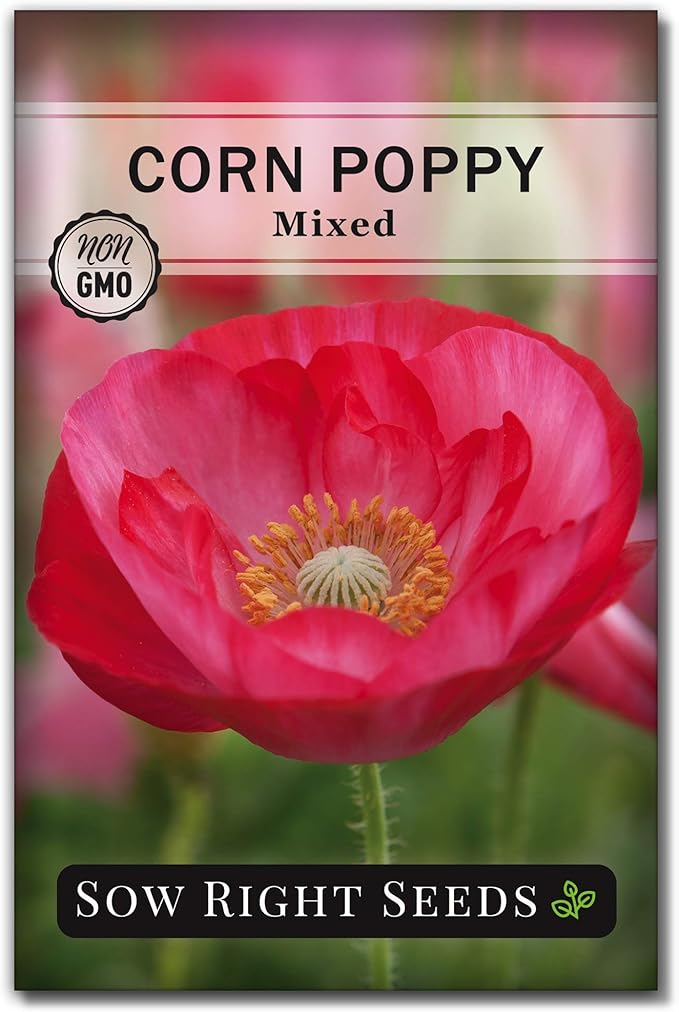 Sow Right Seeds - Mixed Corn Poppy Seeds for Planting - Non-GMO Heirloom Packet with Instructions to Grow a Wildflower Garden - Native, Self Sowing Perennial - Light Colored, Paper Like Blooms (1)